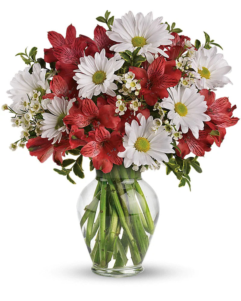 Dancing In Daisies
